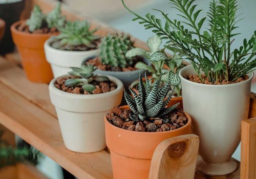 Hoeveel planten heb je nodig om een kamer te zuiveren?